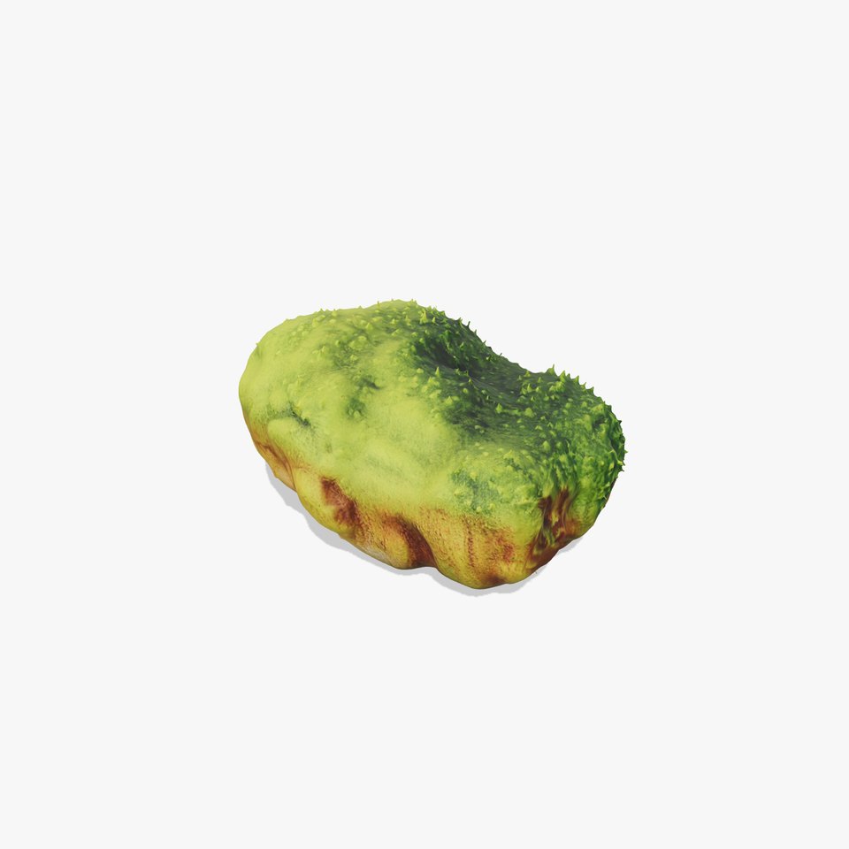 Vibrant Moss Rock model pack